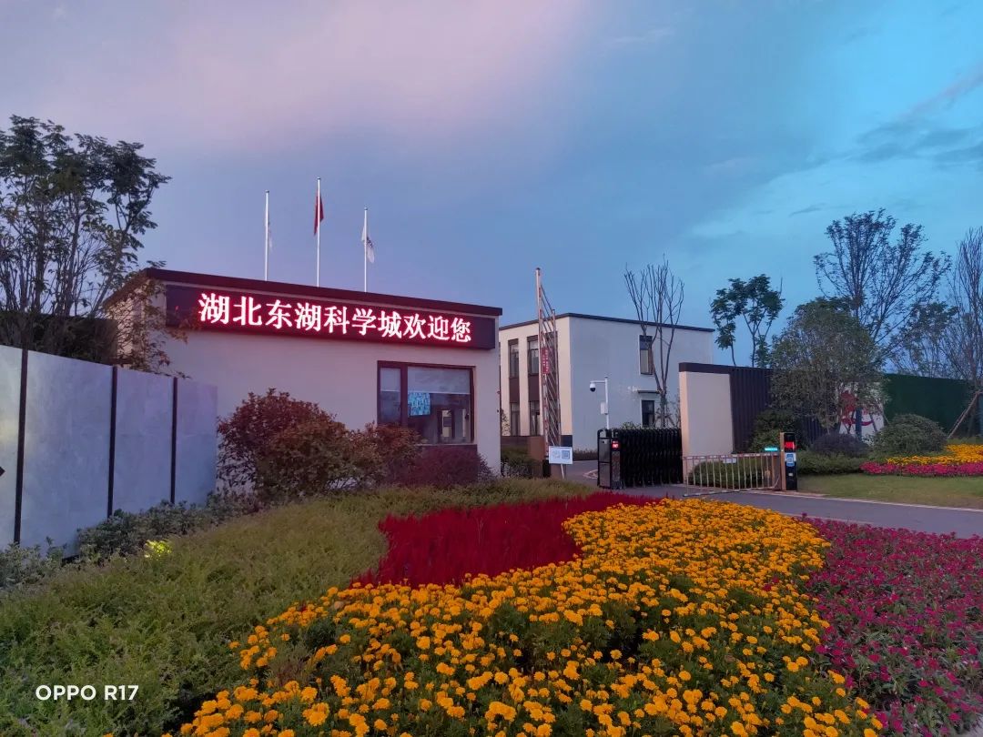 981cb7b3b98fa761dc44fcb680786fc5.jpg 981cb7b3b98fa761dc44fcb680786fc5.jpg